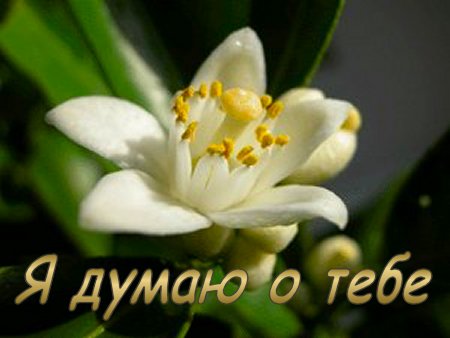 copy code below