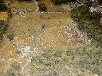 Dscf0040.jpg