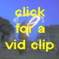Short camera clip of a twirler.  Friend Amy is twirling these days but didn't get a chance to see her act yet.